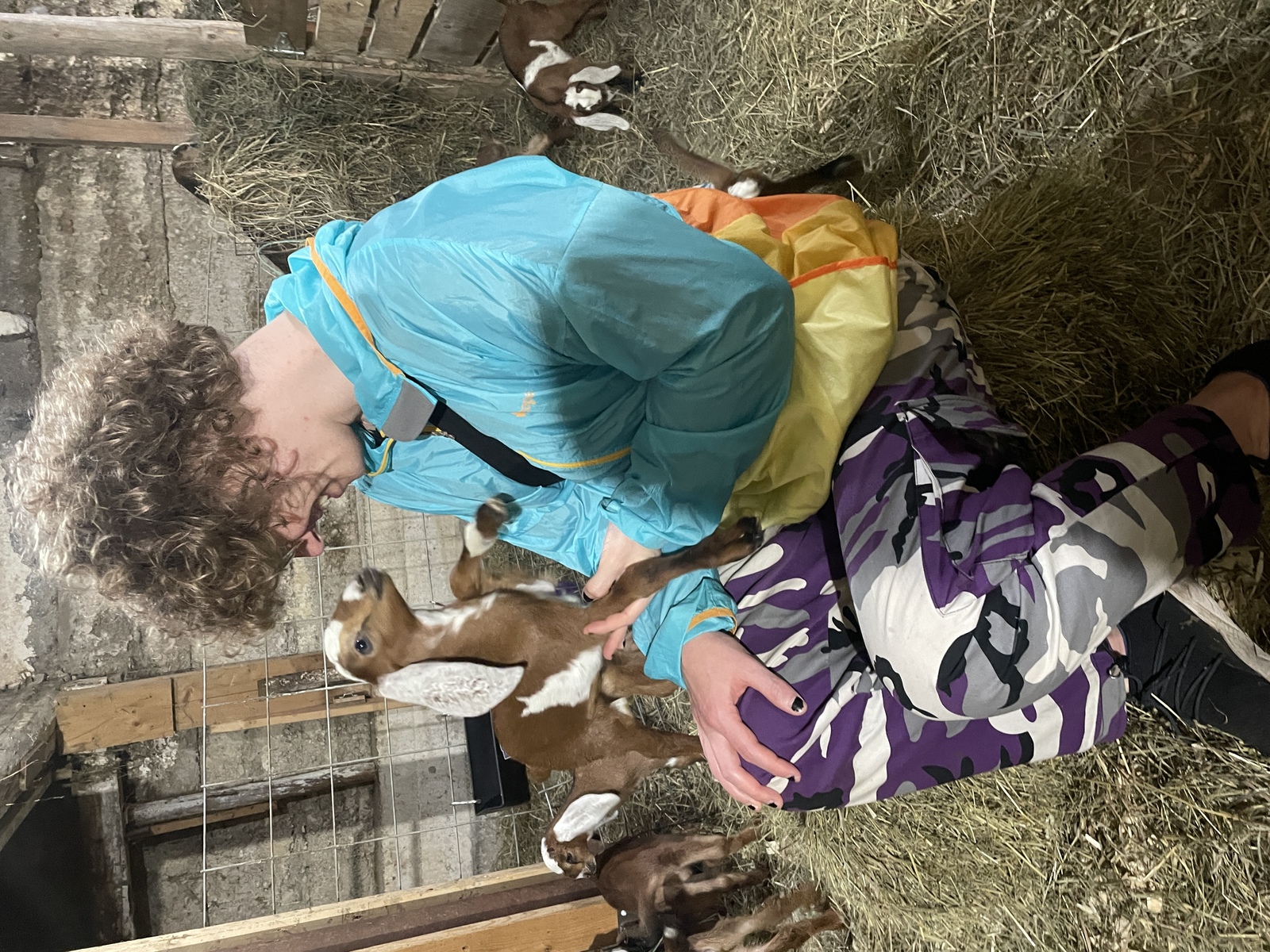 Baby Goat
